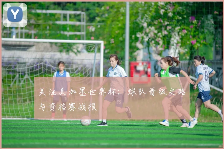 关注美加墨世界杯：球队晋级之路与资格赛战报