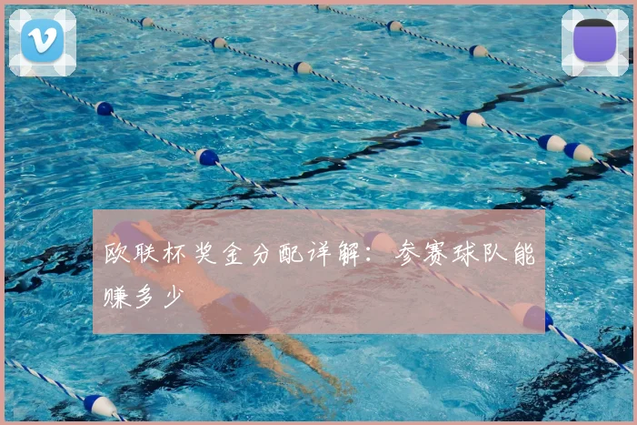 欧联杯奖金分配详解：参赛球队能赚多少